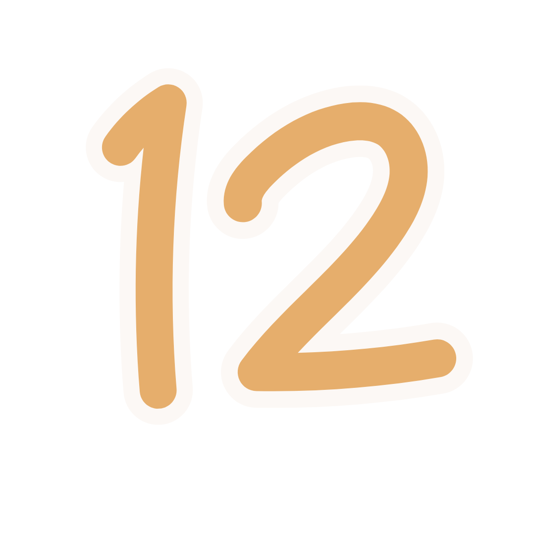 icona 12